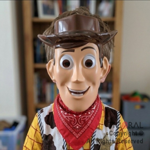 MASCARA VAQUERO WOODY x 6